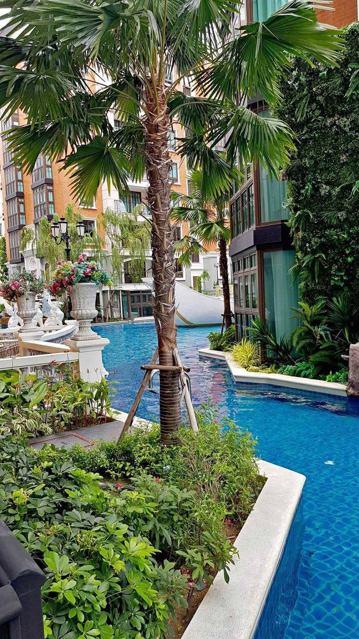 Краткосрочная аренда кондоминиума