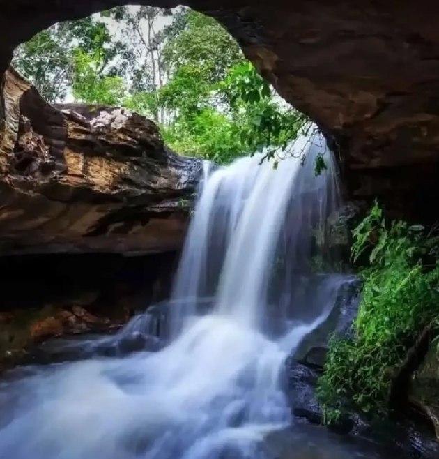 Временное закрытие ботанического сада Фу Фой Лом
