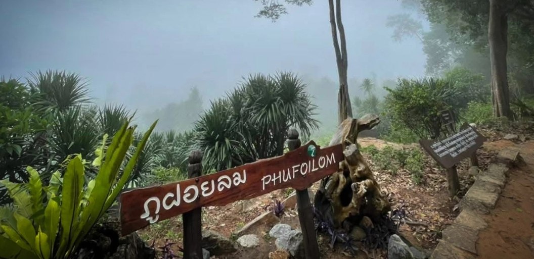 Временное закрытие ботанического сада Фу Фой Лом