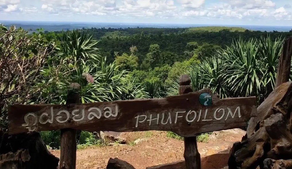 Временное закрытие ботанического сада Фу Фой Лом