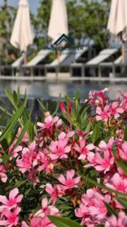 Аренда и продажа апартаментов у моря