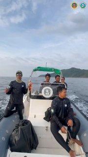 Редкие афалины в национальном парке