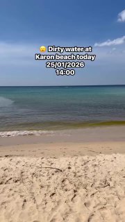 Покупка и аренда недвижимости