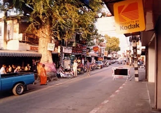 Срублено священное тамариндовое дерево в Паттайе