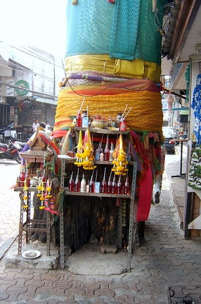 Срублено священное тамариндовое дерево в Паттайе