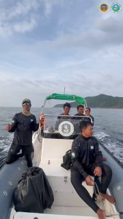 Редкие дельфины в Андаманском море