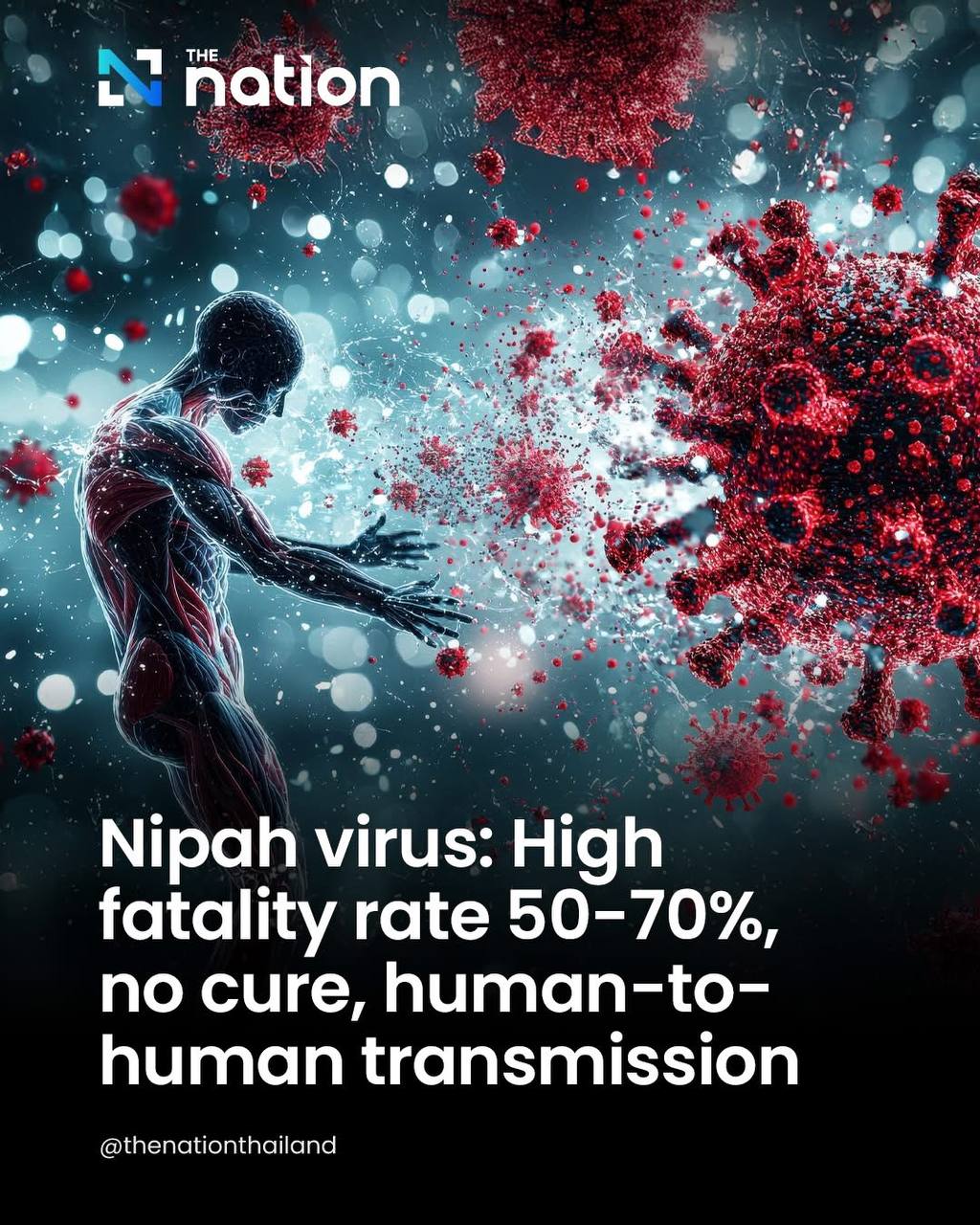Вспышка вируса Нипах в Индии