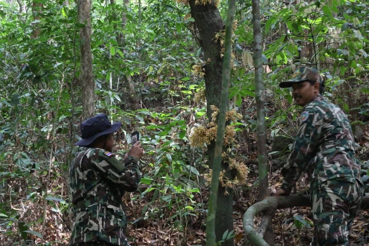 Цветение в национальном парке