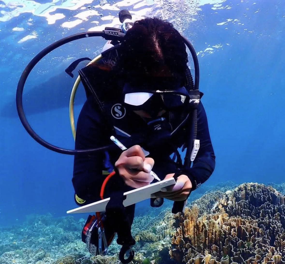 Состояние коралловых рифов Симилана