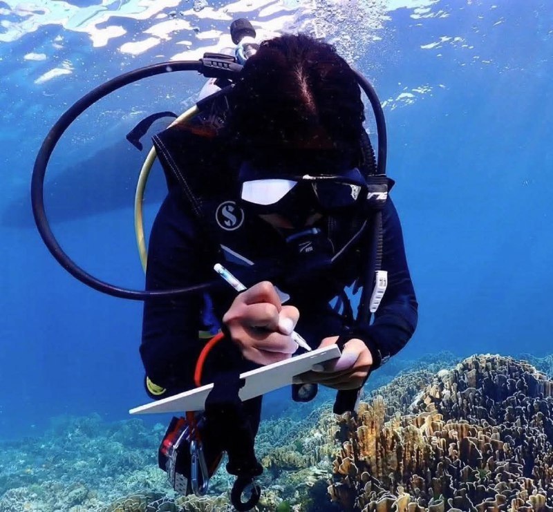 Здоровье кораллов Симиланских островов