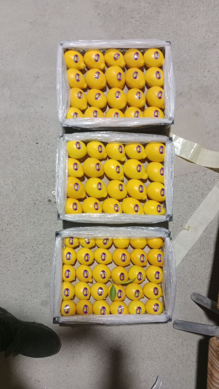 Экспорт фруктов и овощей из Узбекистана