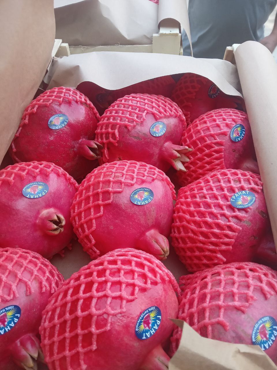 Экспорт фруктов и овощей из Узбекистана