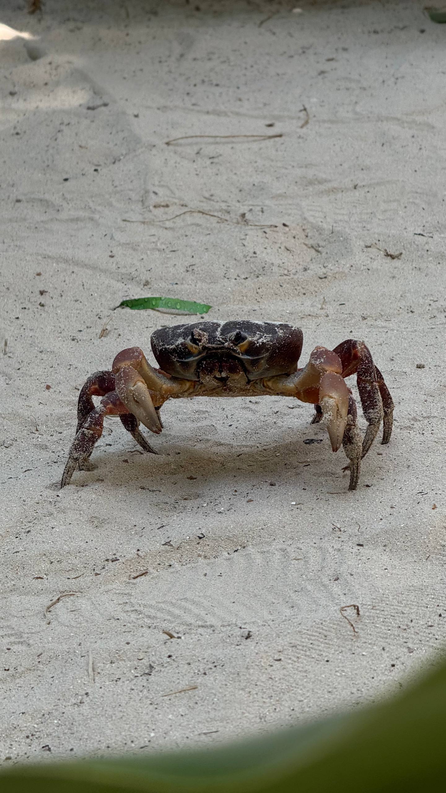 Отзыв о трехдневном отдыхе