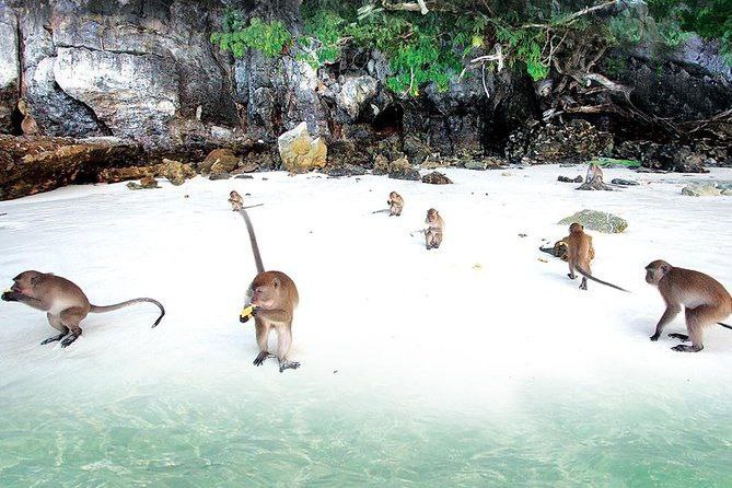 Тур на остров Пхи-Пхи