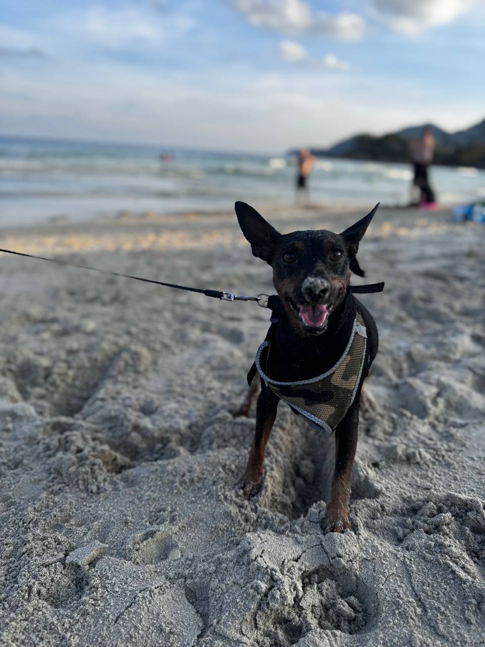 Отзыв о отпуске на Самуи