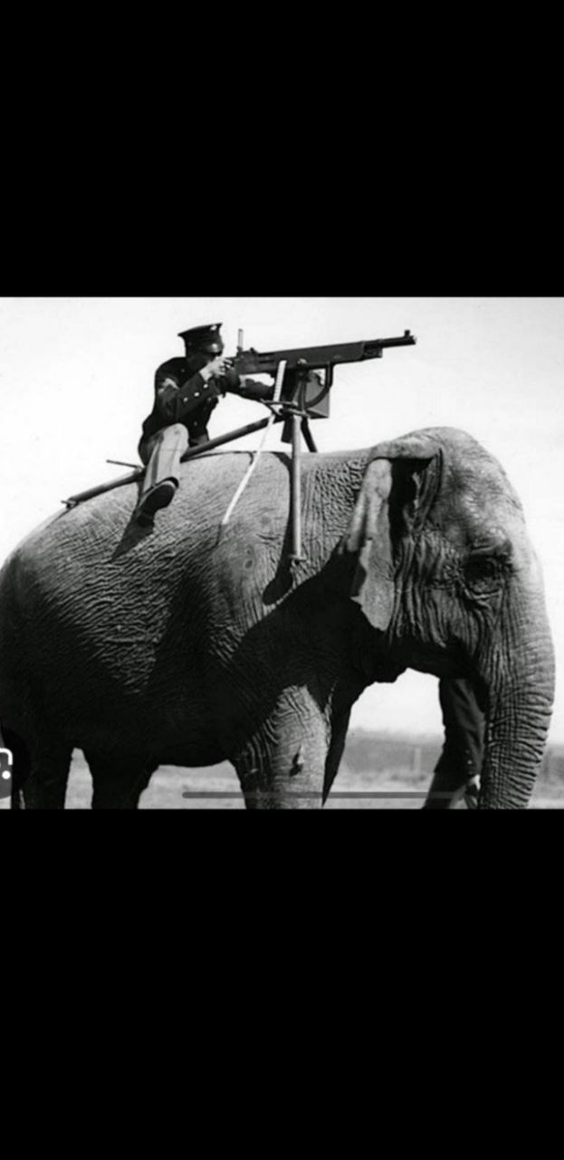 Услуги по обучению вождению