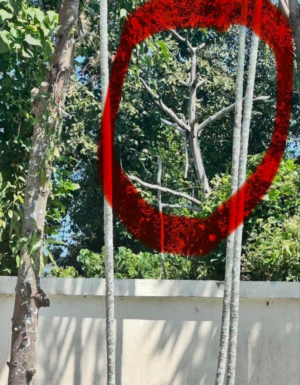 Помощь ослабевшей дикой птице