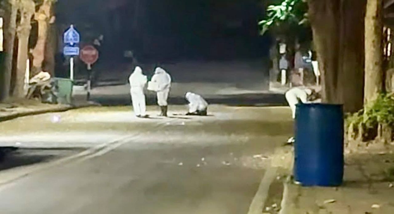 Мониторинг гуано летучих мышей в Паттайе