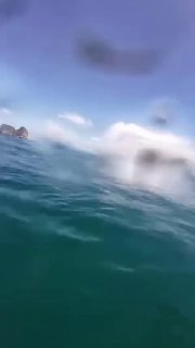 Новости из морских глубин