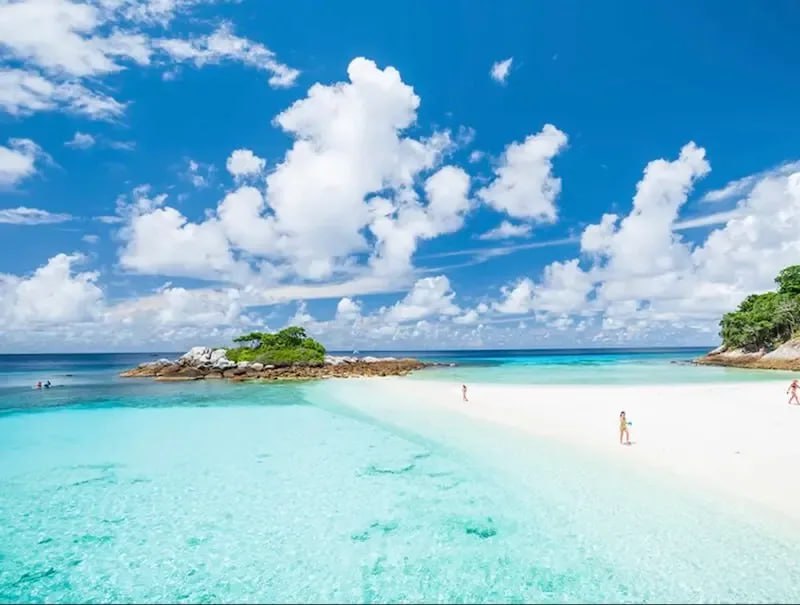 Экскурсия на острова Рача и Корал