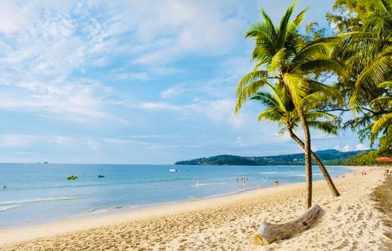 Эксклюзивное предложение курортной студии