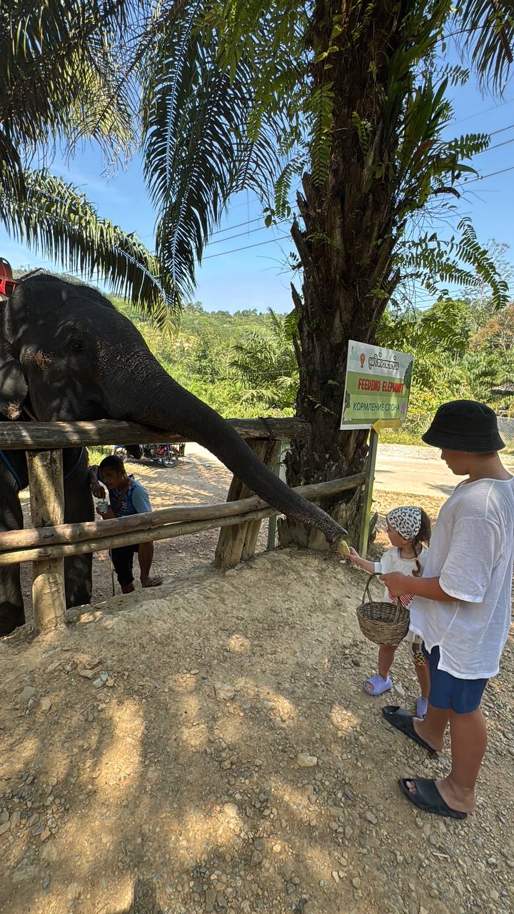 Отзыв об экскурсии на Пханг Нга