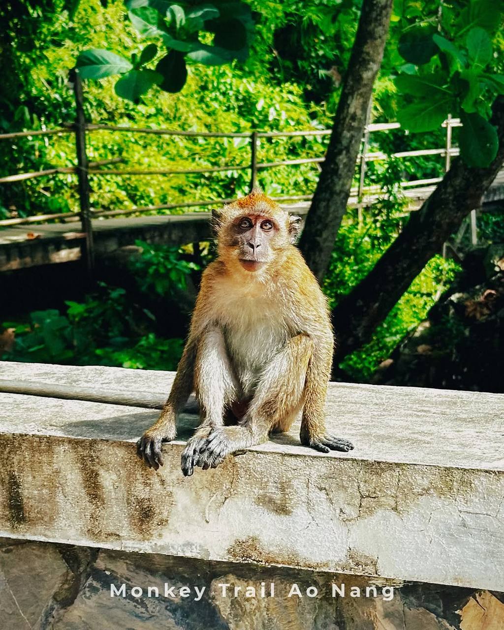 Краби - символ устойчивого туризма