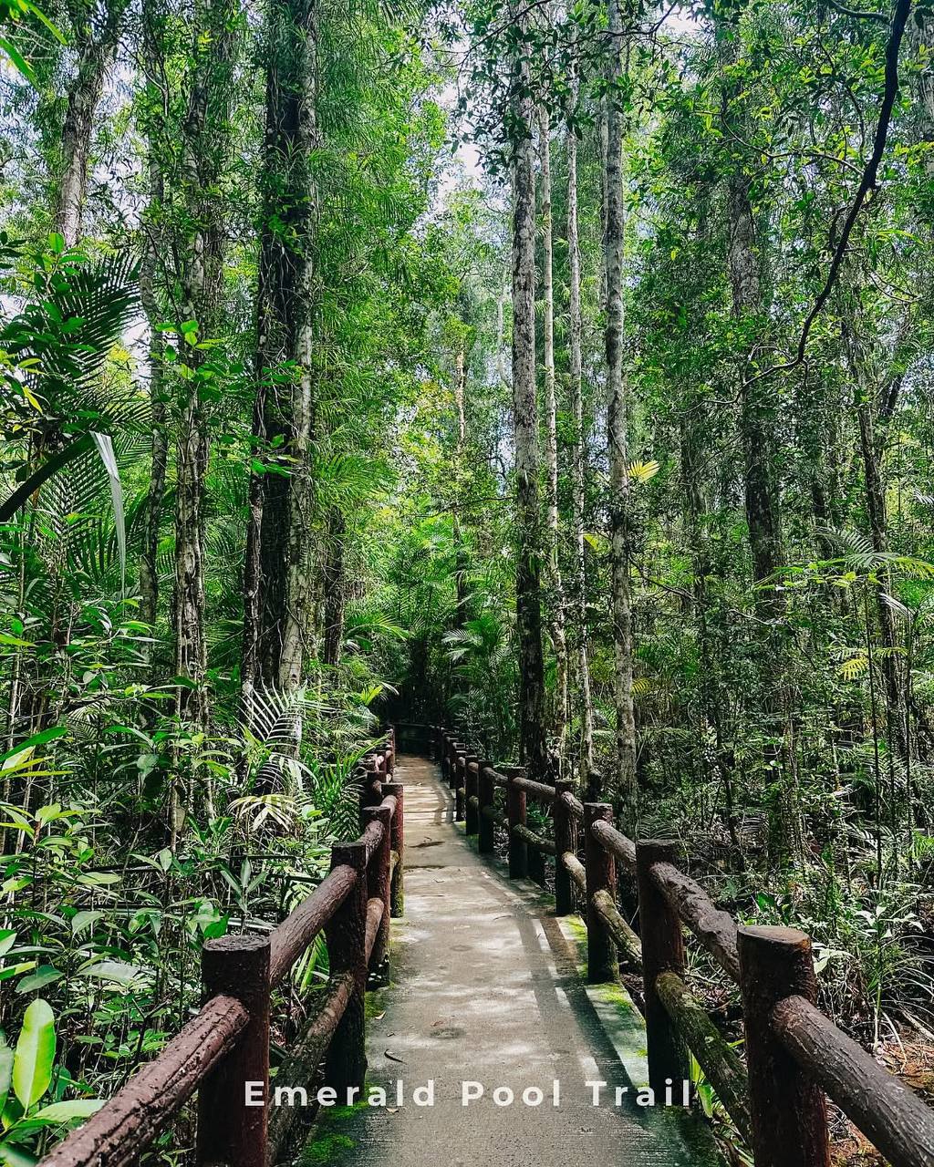 Краби - символ устойчивого туризма