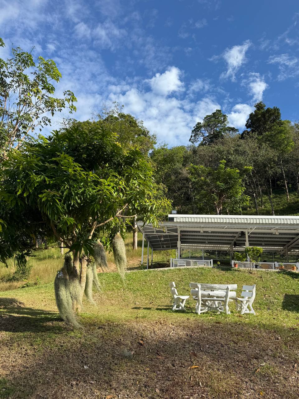 Уютное кафе на Пхукете