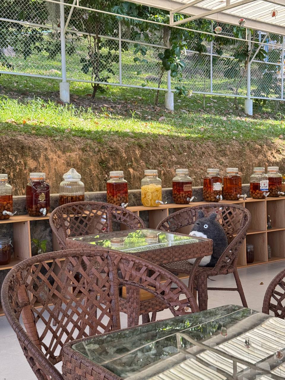 Уютное кафе на Пхукете