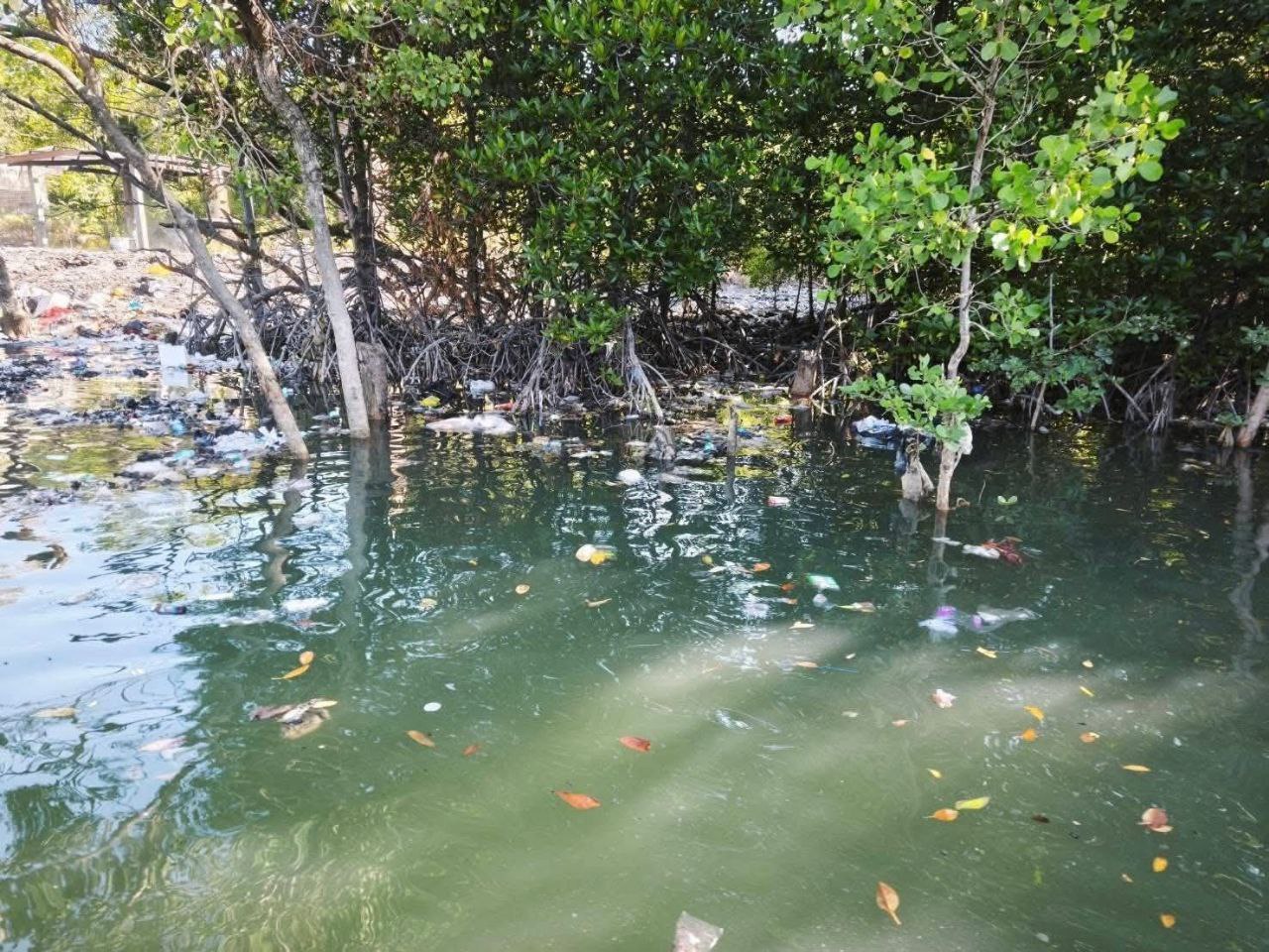 Уборка мусора в национальном парке