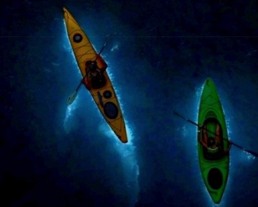 Экскурсия с каякингом среди планктона