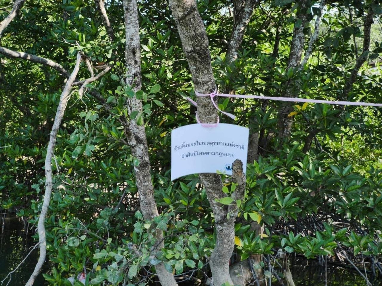 Очистка острова Паньи в Пханг Нге