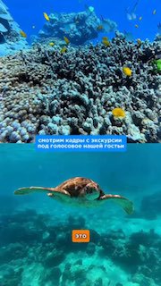 Отзыв о туре на Симиланы