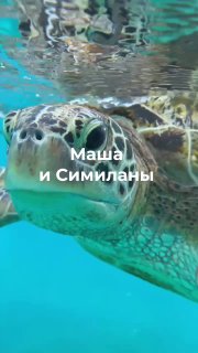 Экскурсия 'Симиланы 7' от 'Остров сокровищ'