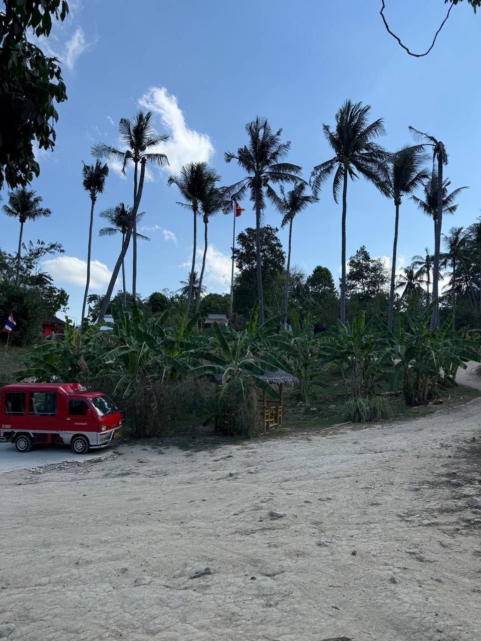 Посещение слоновьей фермы