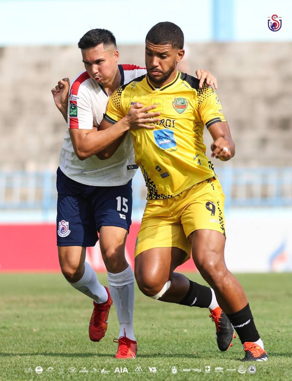 Поддержка футбольной команды на матче