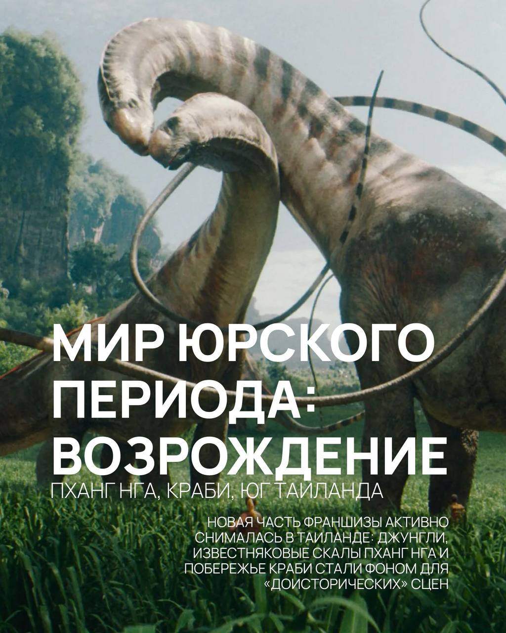 Культовые фильмы, снятые в Таиланде