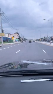 Транспорт для собак в Таиланде