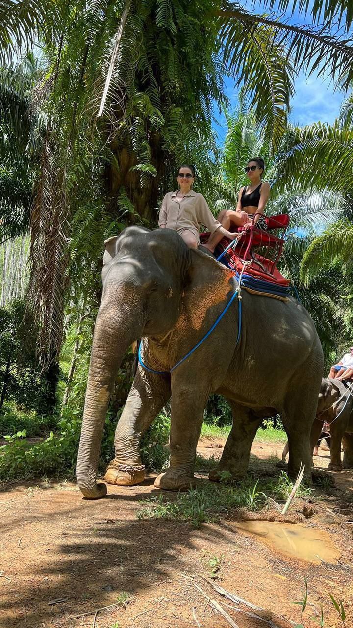 Экскурсия в Таиланде: Полный день приключений