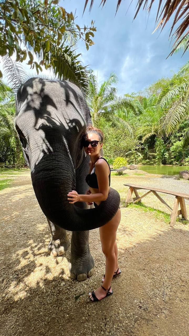 Экскурсия в Таиланде: Полный день приключений