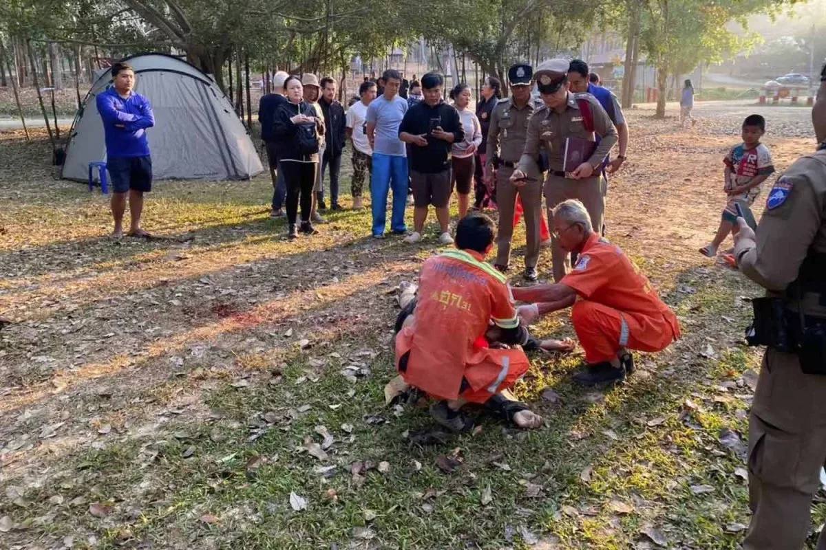 Слон убил туриста в Таиланде