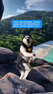 Ранний тур на Симиланские острова