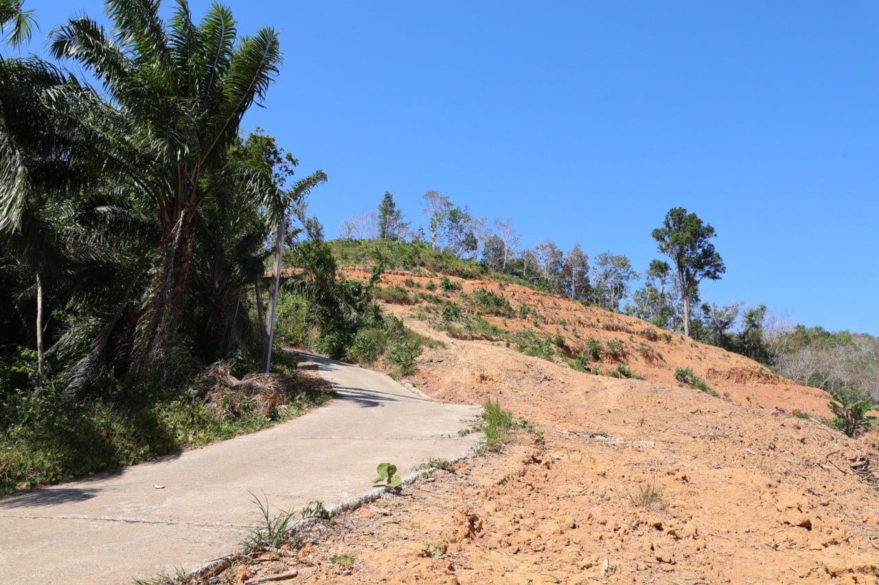 Ревизия инфраструктурных проектов в Пхукете