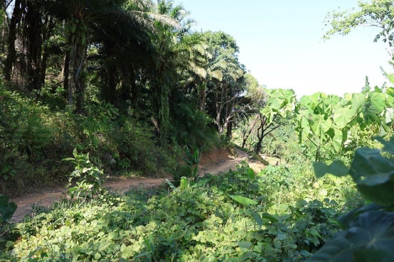 Новая дорога на Пхукете против пробок