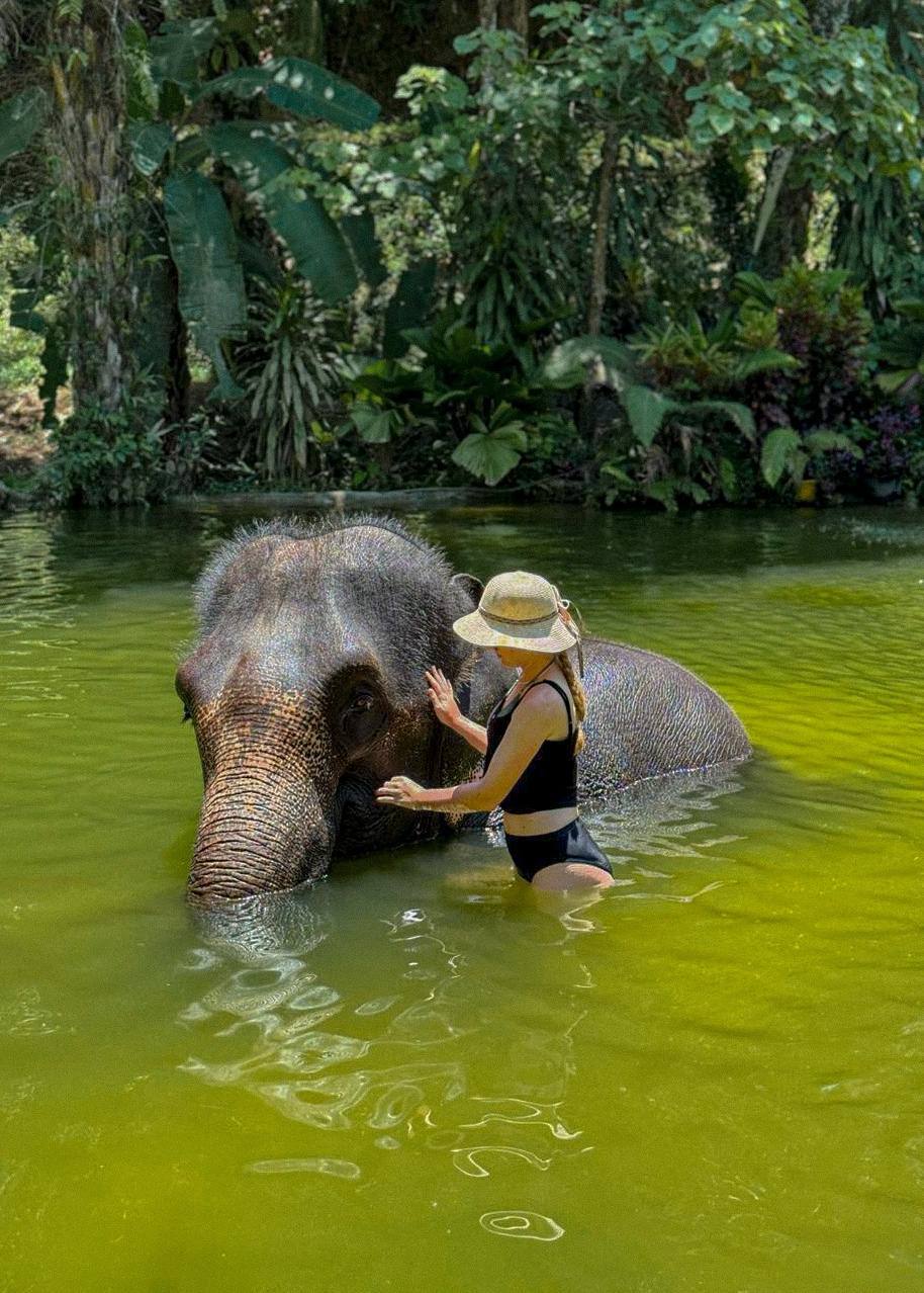 Као Лак Сафари: Приключение в Таиланде