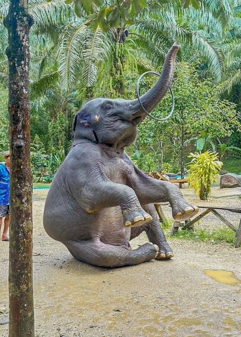 Као Лак Сафари: Приключение в Таиланде