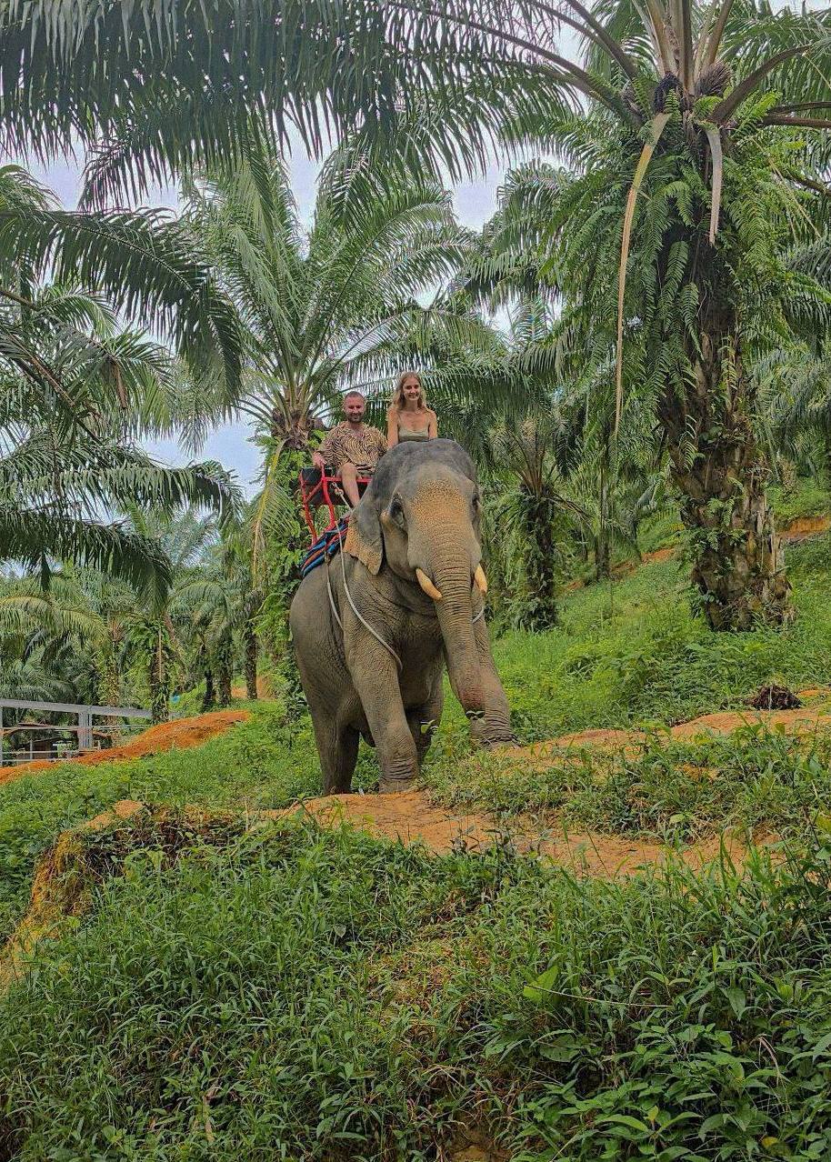 Као Лак Сафари: Приключение в Таиланде