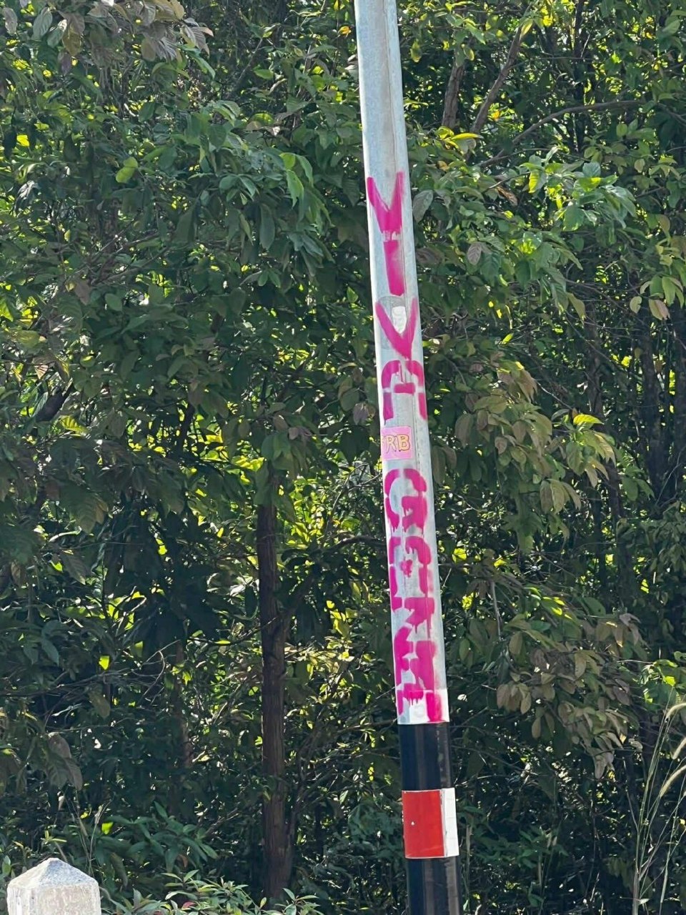 Политический скандал на острове Панган