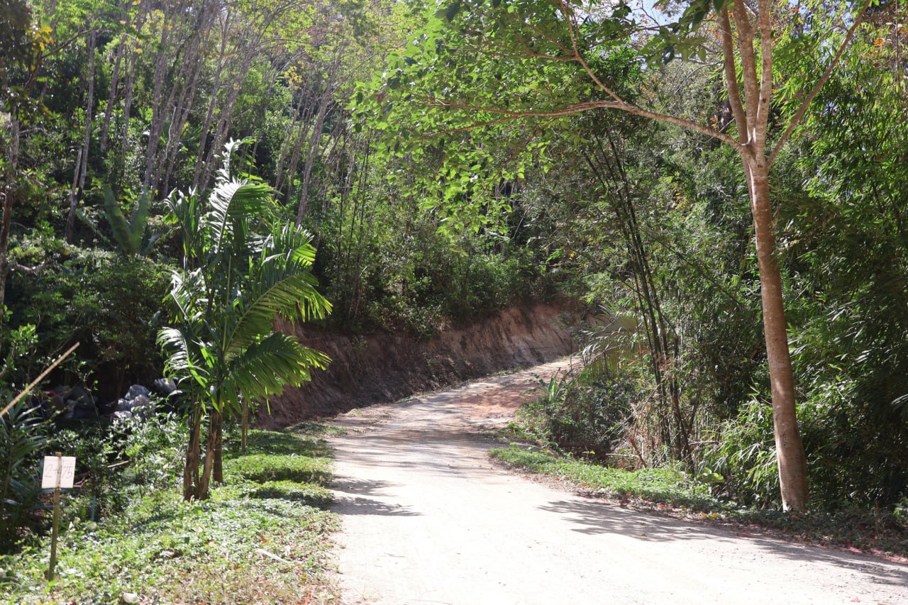 Продолжение работ на дороге Чалонг-Патонг
